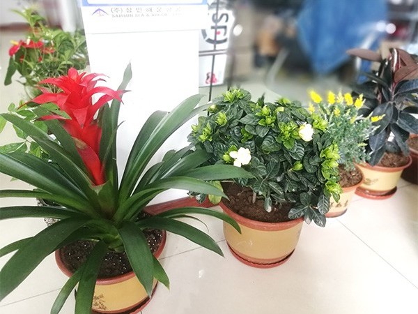 格誠經(jīng)緯栽花季